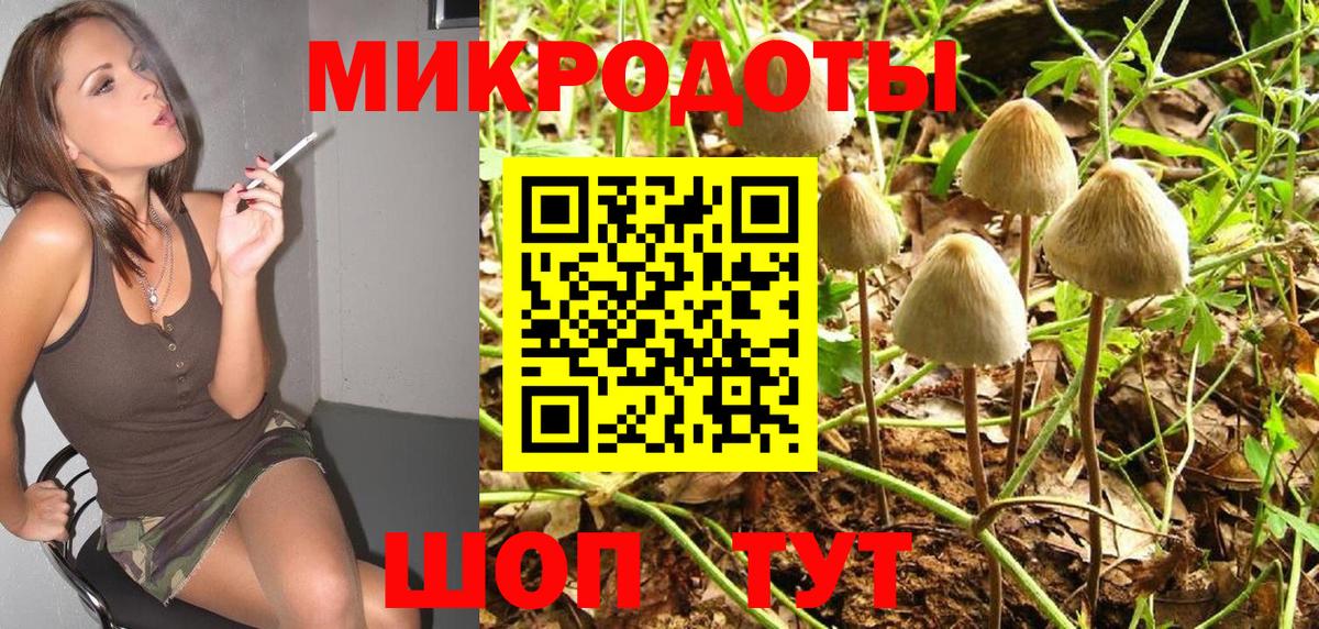 Псилоцибиновые грибы Cubensis  Псилоцибиновые грибы Psilocybe  Ипатово  Вход с VPN 